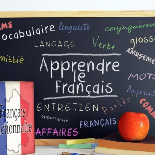 french levels - zofico