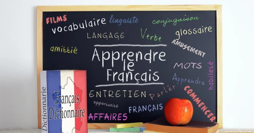 french levels - zofico